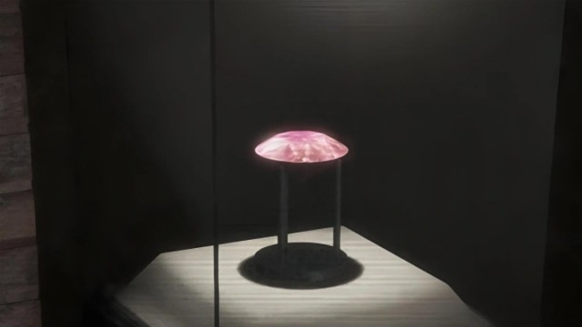 Photo: Collected