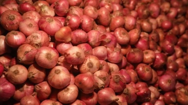 File image of onion.