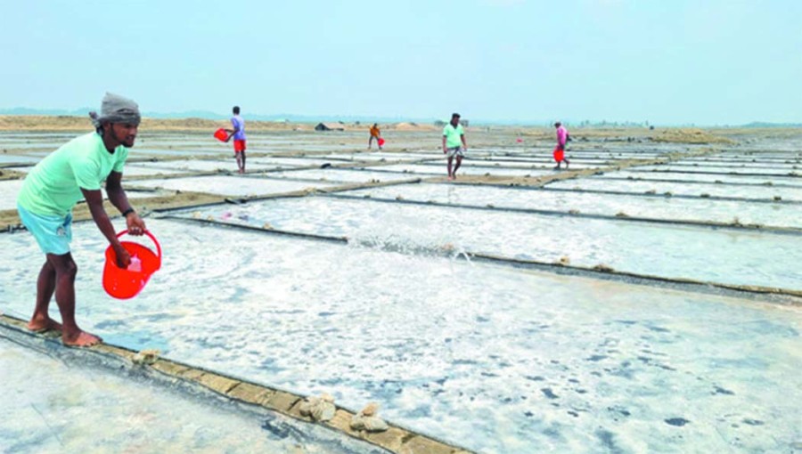 Salt Production Reaches Record High Amid Heatwave