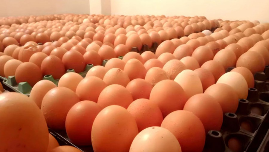 Egg Prices Surge Tk23 Higher Than Government Set Rate