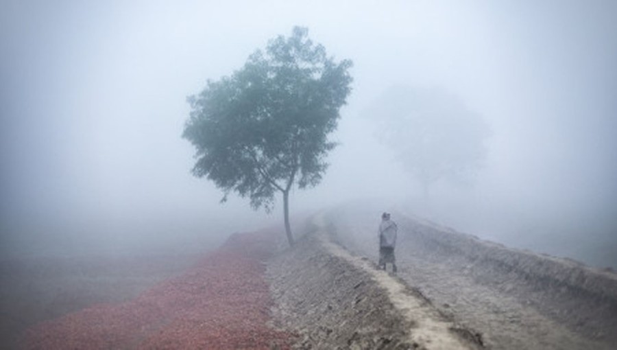 Mercury drops as cold wave sweeps across parts of Bangladesh