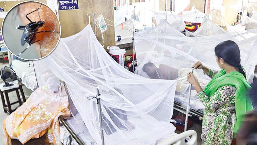 Dengue: 5 More Deaths, 534 Hospitalized in 24 Hours