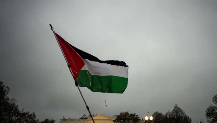 FM Urges Muslim Unity for Palestine Crisis Resolution