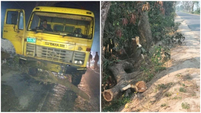 Photos show a truck stuck on the road [on left] and the tree trunk used to block the road by the side of the road [on right].