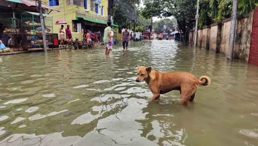 Heavy Rain Floods Sylhet, Osmani Hospital Impacted.