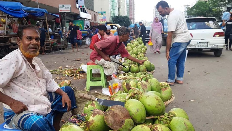 Surging Demand Drives Up Green Coconut Prices Amid Intense Heat