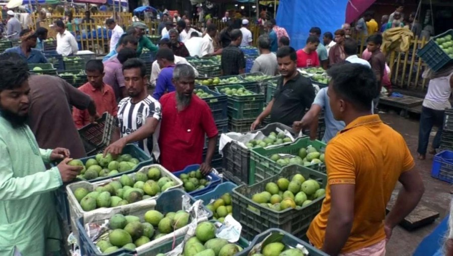 Rangpur’s Haribhanga Mangoes Exported to Germany; Traders Eye Expansion