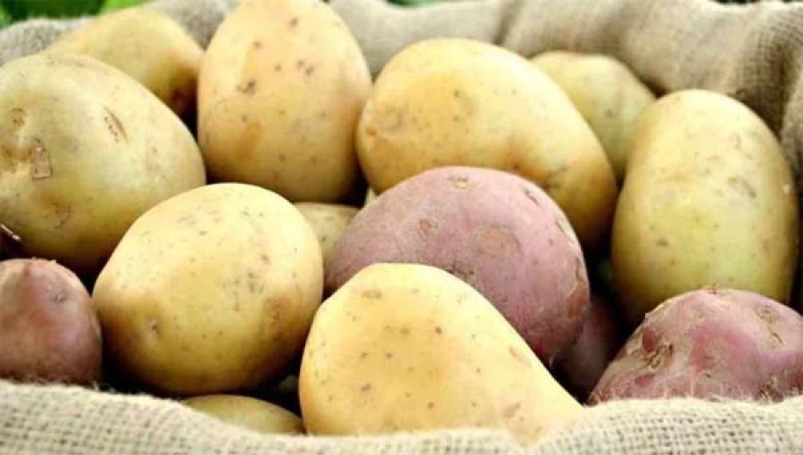 200 Tons of Potatoes Imported from India via Benapole Port