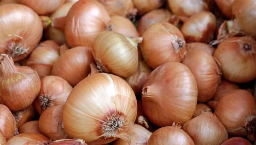 50,000 Tons of Indian Onions to Enter Bangladesh Market Soon: State Minister