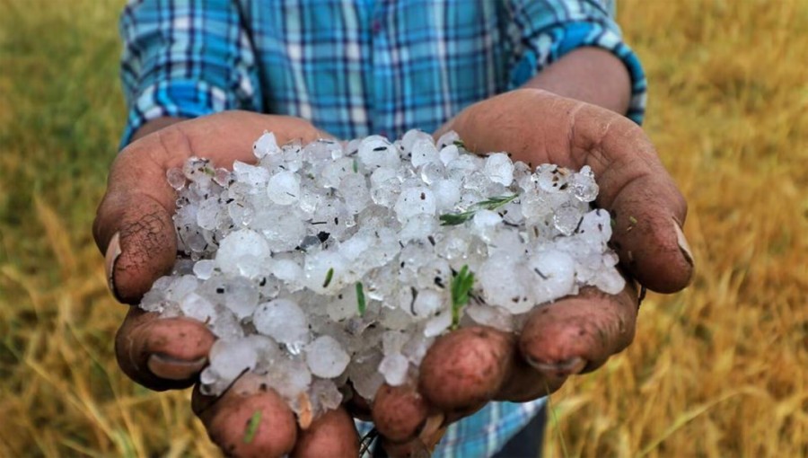 Concerns Rise Over Hailstorms Impacting Farmers