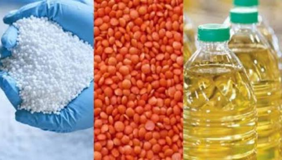 Government Approves Procurement Proposals for Fertilizer and Lentils