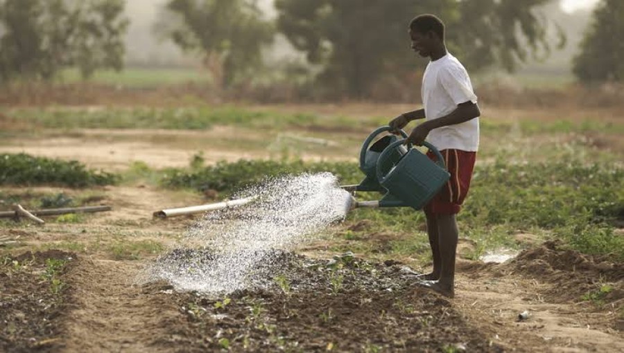 Workshop Advocates for Market Linkages