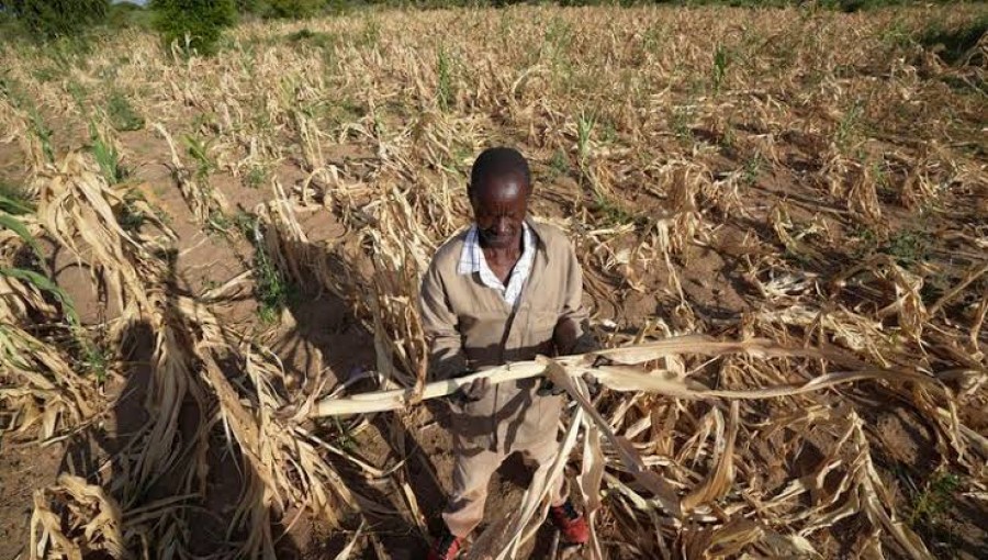 Zimbabwe Declares National Disaster Amid Severe Drought Crisis