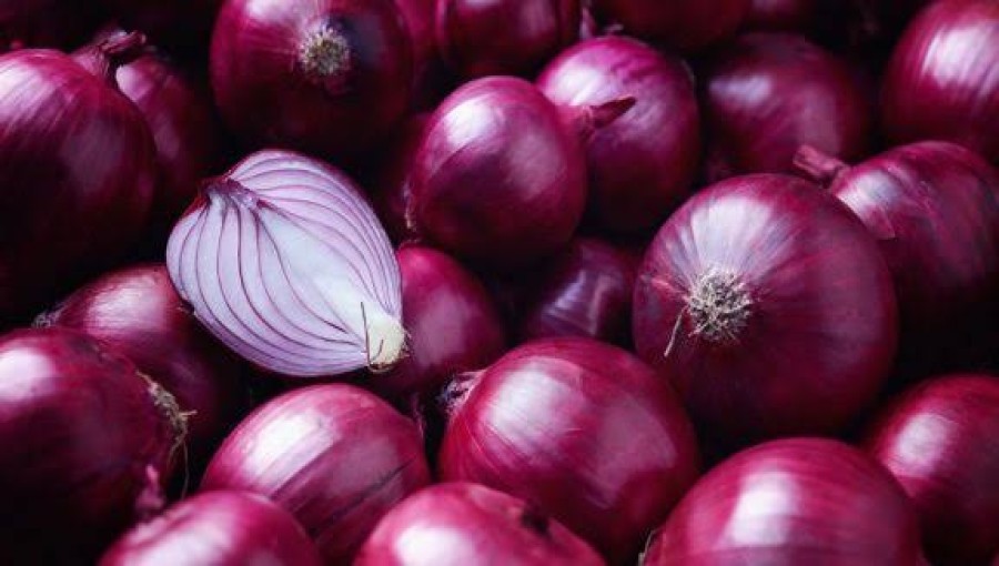 India Permits Onion Export to Neighbouring Countries