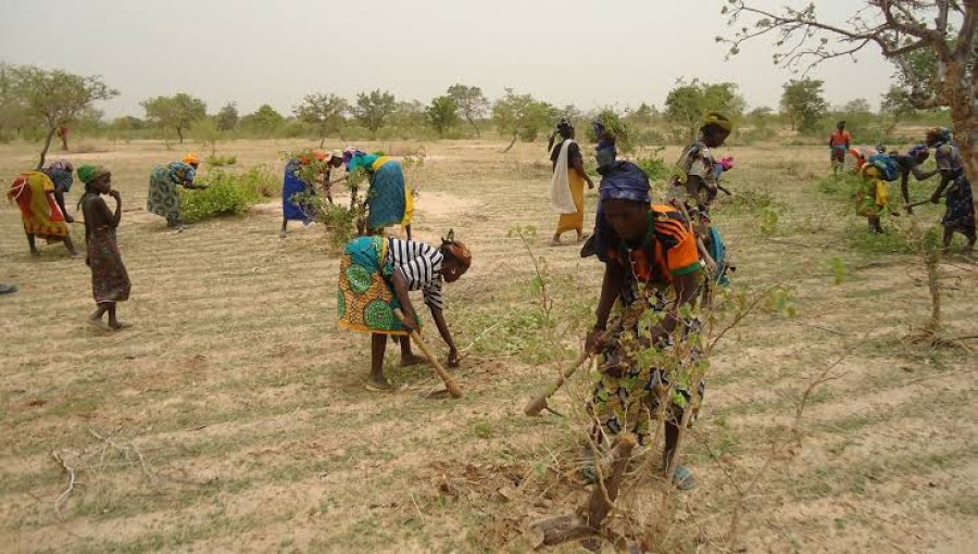 UN Declares 2026 as International Year of Women Farmers