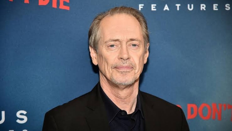Actor Steve Buscemi Assaulted in New York City