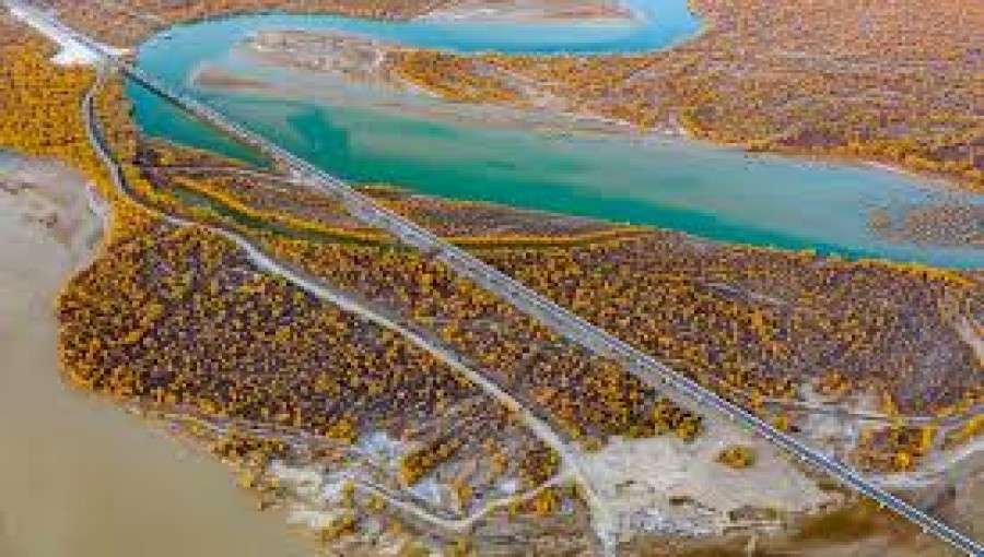 Xinjiang Plans to Divert Floodwater to Replenish Desert Poplar Forests