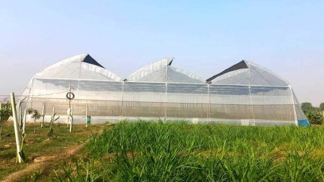 Polynet House Revolutionizes Farming with Innovative Greenhouse Technology