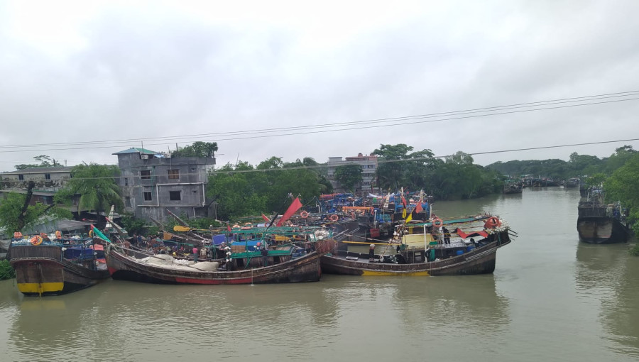 22-Day Ban on Hilsa Fishing Begins to Protect Mother Fish