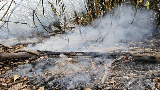 "Fire lines have been cut around the fire in Gulishakhali in the Sundarbans. There is no water anywhere around. So the forest department firefighters and fire service members are waiting for the tide