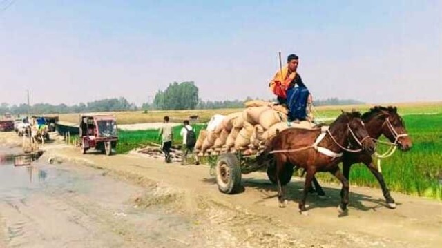 "Farmers of Mahmudnagar transport agricultural goods daily across the middle of the Dhaleshwari River using horse-drawn carts, highlighting the urgent need for a permanent bridge to ease their hardship."