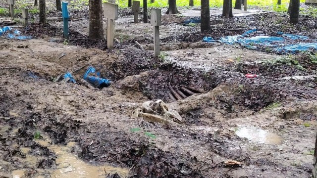 The Birahimpur Cemetery under Aminpur Police Station in Sujanagar Upazila, Pabna, where 21 human skeletons were reportedly stolen. Photo: V7N