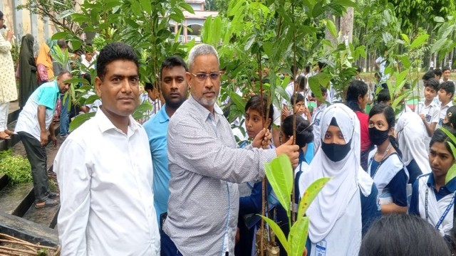BNP leaders and local activists participate in a tree plantation campaign in Tangail, as part of the party's ongoing efforts to promote environmental sustainability and ecological balance. (Photo: V7N)