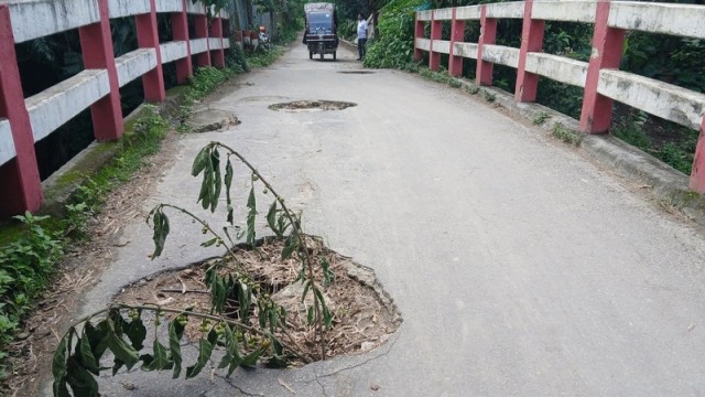 Locals mark dangerous holes on Jahankhali Bridge with tree branches to warn commuters amid ongoing risk of accidents. (Photo: V7N)