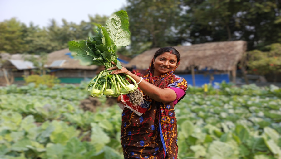 Farmers in Bagerhat are successfully cultivating diverse crops on previously barren saline lands, showcasing agricultural innovation.