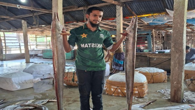 Baim Fish Reappears After Years, Earned Premium Price at Barguna Patharghata Dock