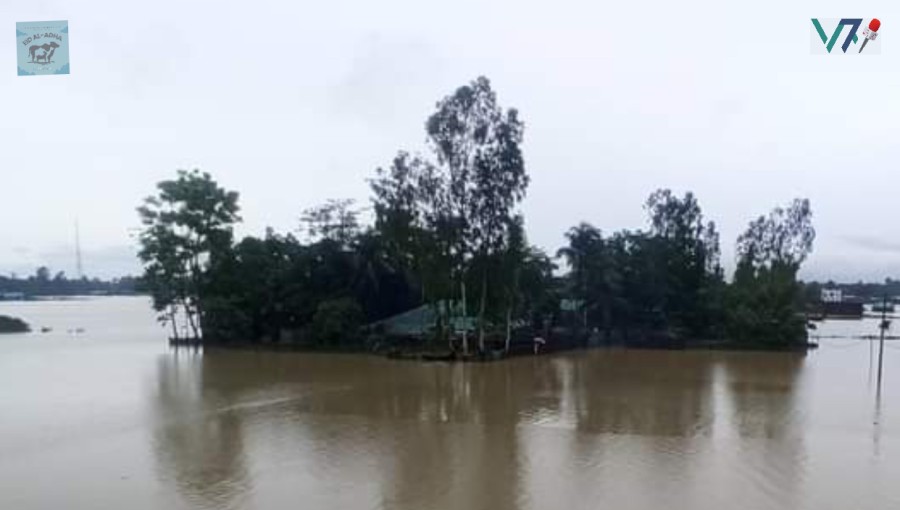 Ukhiya-Teknaf due to heavy rain caused heavy damage, 10 people died