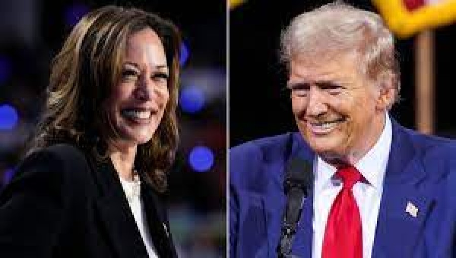 Kamala Harris Surges Ahead of Donald Trump in Latest Polls, Leading by 5 Points