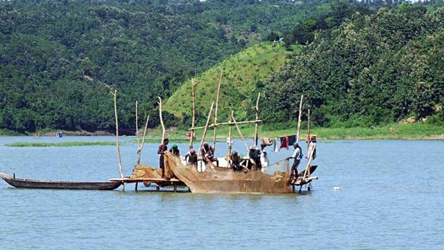 Big Fish Decline in Kaptai Lake Amid Rise of Small Fish