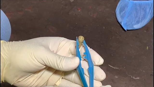 Journalist Shot Dead in Khulna, Another Critically Injured