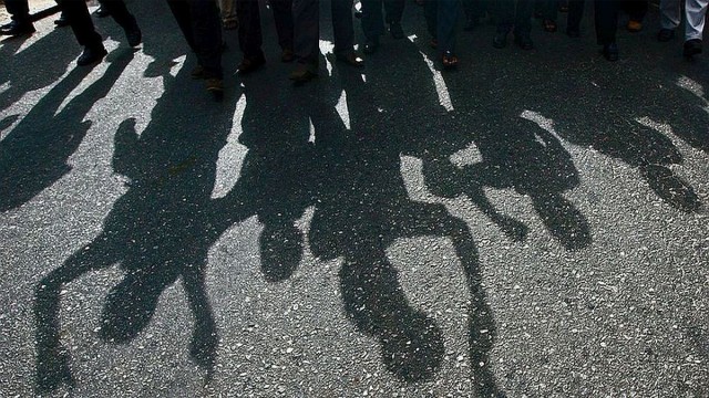 Photo: Collected