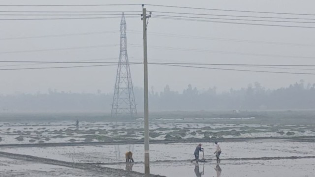 Dense Fog and Bitter Cold Disrupt Daily Life in Lalmonirhat