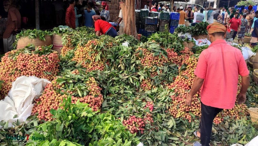 Heatwave Reduces Litchi Production in Pabna, Farmers Worried