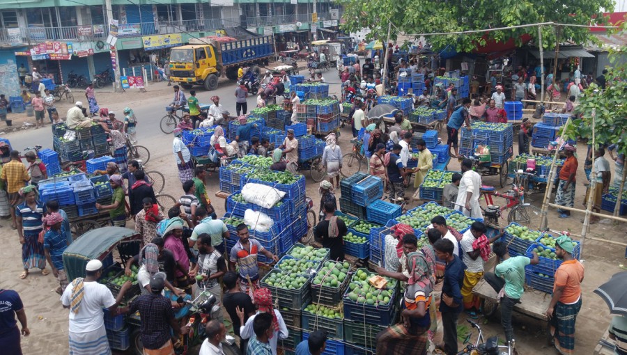 Rajshahi Mango Market Struggles Amid Heatwave: Decreased Yields & Rising Prices