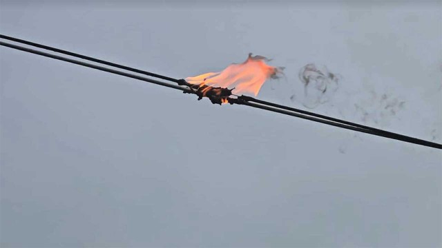 Photo: Collected