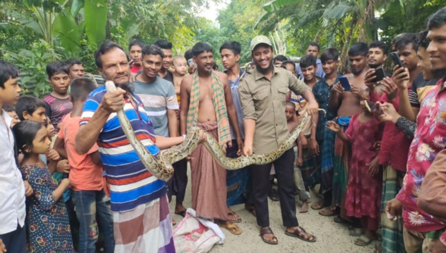 Local Woman Discovers Python Wrapped in Net Near Her Home