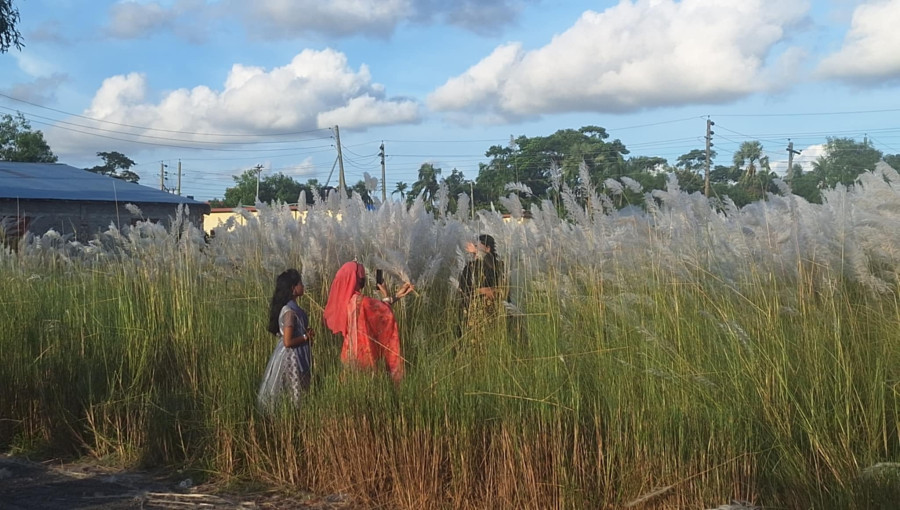 Kashful Blooms Transform Barguna's Bisik Industrial City