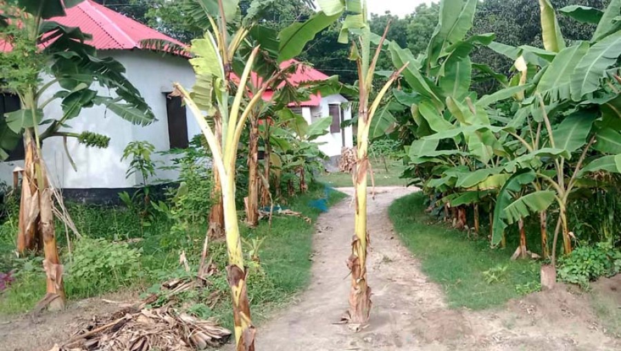 Residents of the Musakhana Shelter Project in Puran, Rajshahi, face daily challenges without proper roads, hindering their access to essential services and opportunities. Photo: Voice7 News