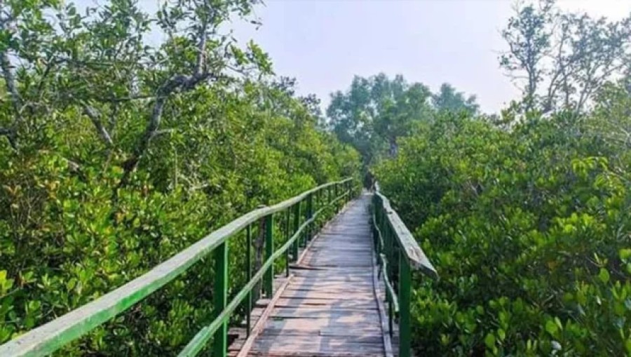 Sundarbans Welcomes Back Tourists and Fishermen After Seasonal Closure