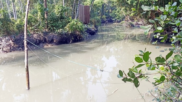 Bagerhat Khoulia Union Families Face Severe Drinking Water Crisis