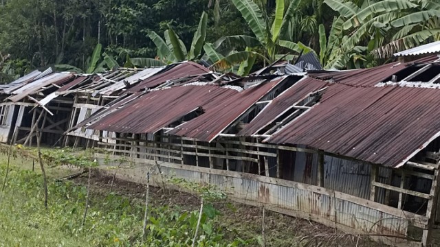 Singjor Gopalpur College in Morelganj, where all 18 HSC candidates failed this year due to infrastructure and salary challenges.
