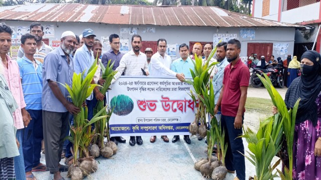 Upazila Nirbahi Officer Habibullah inaugurates the distribution of 1,400 coconut saplings to small-scale farmers in Morrelganj, Bagerhat, under the 2024-2025 government incentive program. Photo: V7N