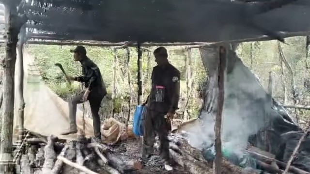 Forest rangers destroy illegal dry fish drying platforms in the Sundarbans as part of a crackdown on poison fishing during the breeding season.
