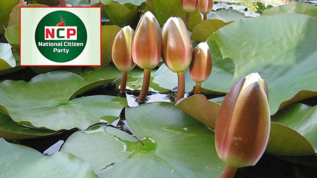 NCP Ready to Adopt ‘Lotus Bud’ as Election Symbol
