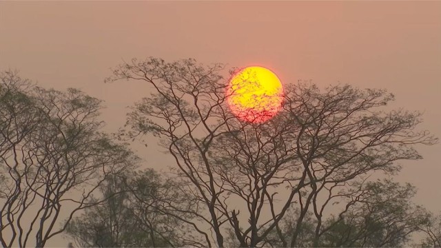 Public Hope and Concerns as Bangladesh Enters 2026: Reflections on 2025