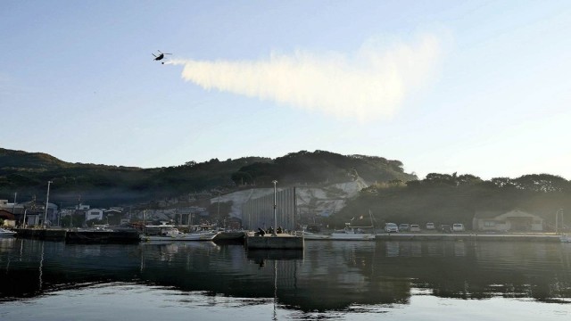 Oita, Japan Blaze Destroys 170 Buildings as Strong Winds Hamper Firefighting
